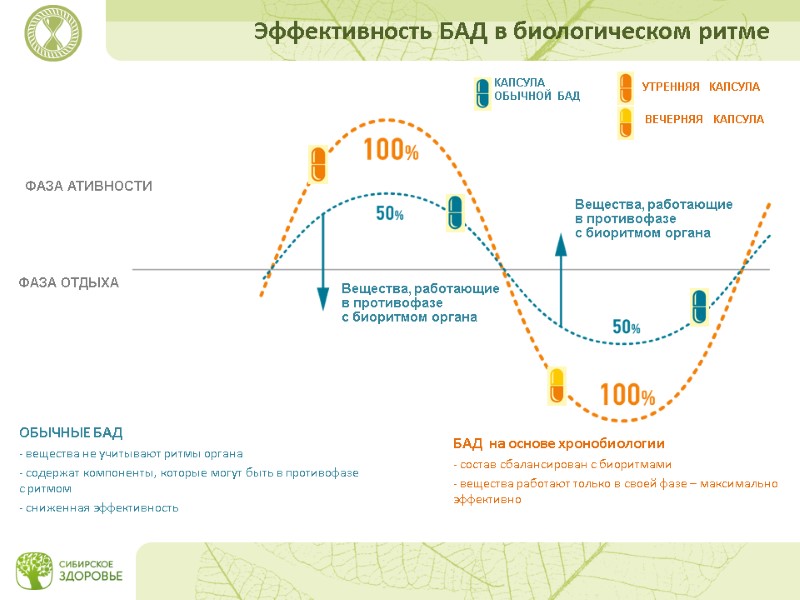 ФАЗА АТИВНОСТИ ФАЗА ОТДЫХА Вещества, работающие  в противофазе  с биоритмом органа Вещества,